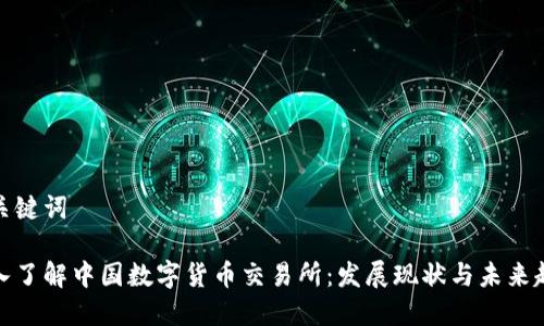 和关键词

深入了解中国数字货币交易所：发展现状与未来趋势