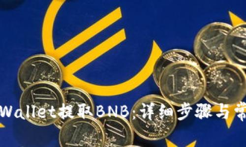 如何使用tpWallet提取BNB：详细步骤与常见问题解答