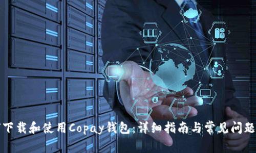 如何下载和使用Copay钱包：详细指南与常见问题解答