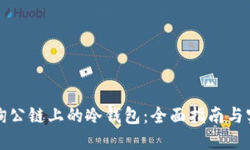 如何查询公链上的冷钱包：全面指南与实用技巧