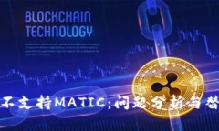 TP身份钱包不支持MATIC：问题分析与替代方案探讨