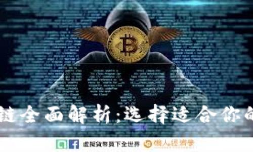 tpWallet支持的公链全面解析：选择适合你的数字资产管理平台