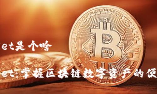 tpWallet是个啥

tpWallet：掌握区块链数字资产的便捷钱包