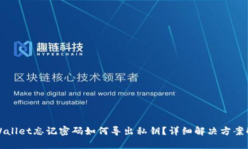 tpWallet忘记密码如何导出私钥？详细解决方案解析
