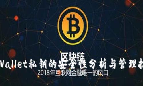 tpWallet私钥的安全性分析与管理技巧