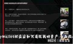 tpWallet被盗后如何有效找回资产：全面指南