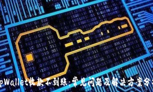   
tpWallet收款不到账：常见问题及解决方案分析