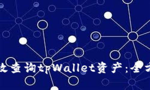 如何高效查询tpWallet资产：全方位指南