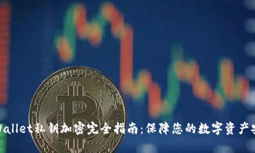 tpWallet私钥加密完全指南：保障您的数字资产安全
