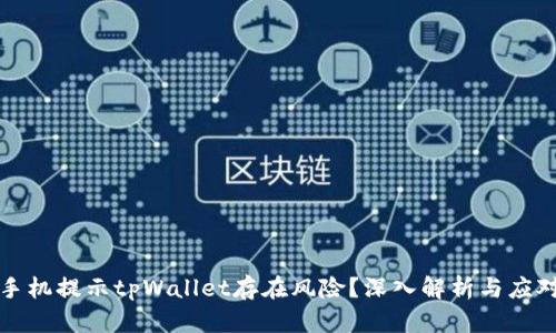 为何手机提示tpWallet存在风险？深入解析与应对策略