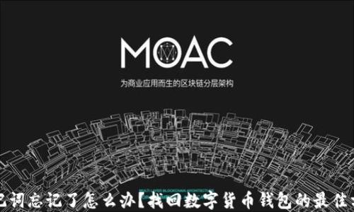 
助记词忘记了怎么办？找回数字货币钱包的最佳方法