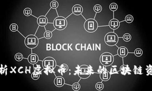 深入解析XCH虚拟币：未来的区块链资产之选