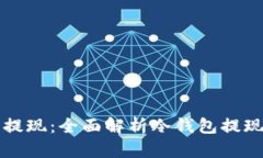 冷钱包如何安全提现：全面解析冷钱包提现流程