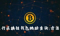 如何进行区块链钱包地址查询：方法与技巧