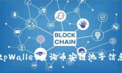  如何使用tpWallet查询币安链池子信息：详尽指南