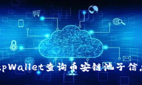  如何使用tpWallet查询币安链池子信息：详尽指南