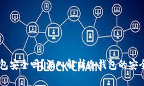 币圈冷钱包安全吗？深入解析冷钱包的安全性与使用