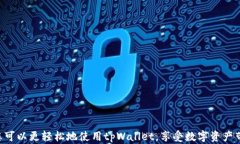   tpWallet中国用户登录指南：轻松掌控您的数字资