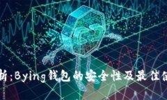 深入解析：Bying钱包的安全性及最佳使用实践
