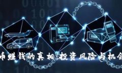 波场币赚钱的真相：投资风险与机会分析