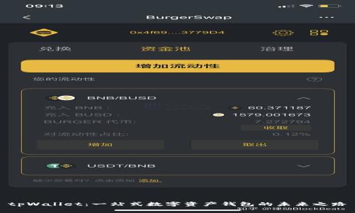 tpWallet：一站式数字资产钱包的未来之路