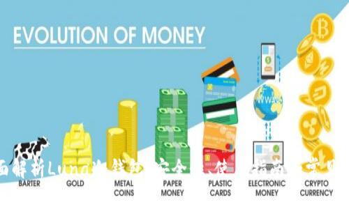 全面解析Luna冷钱包：安全性、使用指南和常见问题
