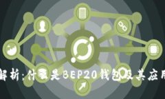 深度解析：什么是BEP20钱包及其应用前景
