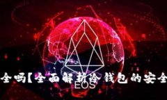 货币冷钱包安全吗？全面解析冷钱包的安全性与