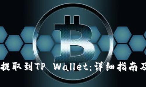 如何将CSPR币提取到TP Wallet：详细指南及常见问题解答