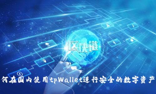 : 如何在国内使用tpWallet进行安全的数字资产管理