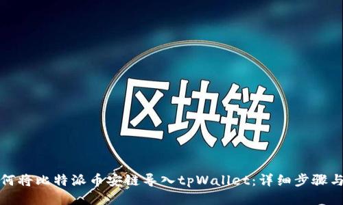 : 如何将比特派币安链导入tpWallet：详细步骤与指南