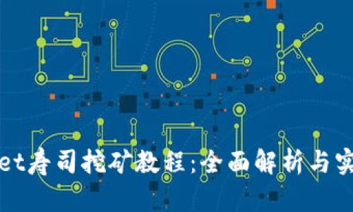 tpWallet寿司挖矿教程：全面解析与实践指导