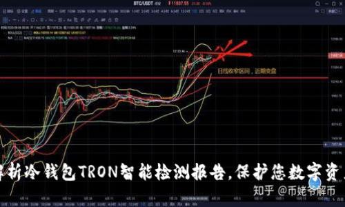 全面解析冷钱包TRON智能检测报告，保护您数字资产安全