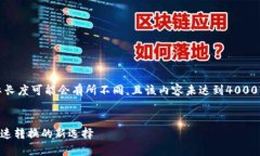 注意：以下为示例内容，实际长度可能会有所不