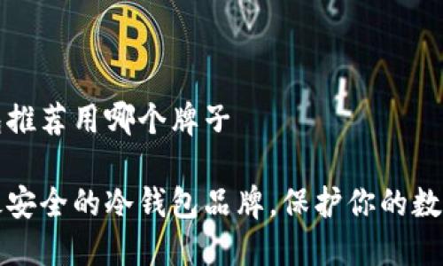 冷钱包推荐用哪个牌子

推荐最安全的冷钱包品牌，保护你的数字资产
