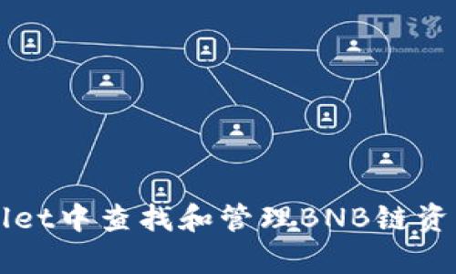 如何在tpWallet中查找和管理BNB链资产的完整指南