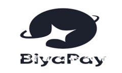 如何在tpWallet申请自己的代币：详细步骤与指南