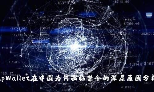 tpWallet在中国为何面临禁令的深层原因分析